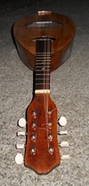 mandolin head